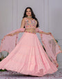 Baby Pink Pleated Lehenga Set 💖